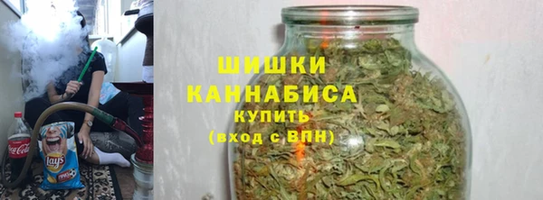 прущие грибы Абдулино