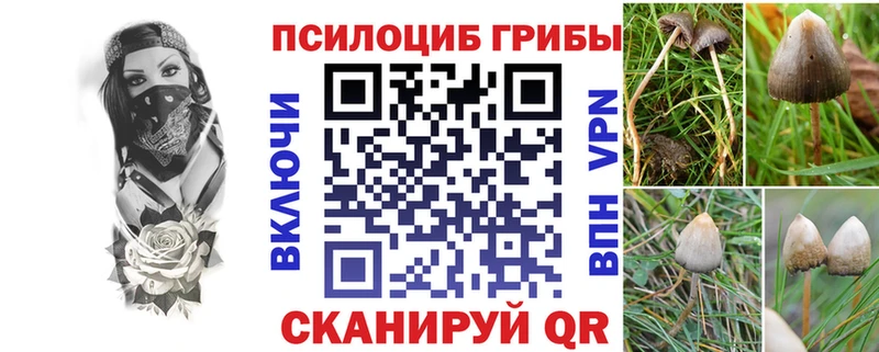 что такое наркотик  Черепаново  Псилоцибиновые грибы Magic Shrooms 